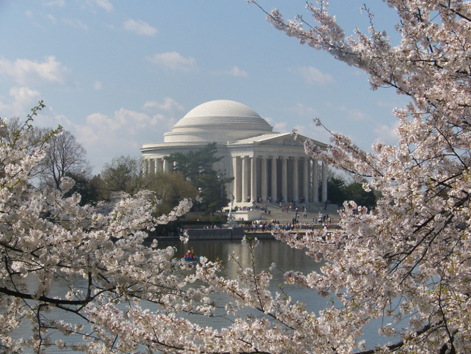 Photograph of the Thomas Jefferson Memorial in Washington, D.C. In the foreground, cherry trees are in bloom.