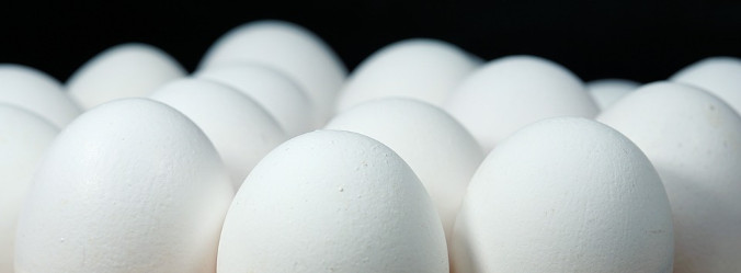 White eggs against a black backdrop