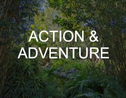 "Action & Adventure" over a photo picturing a Florida forest