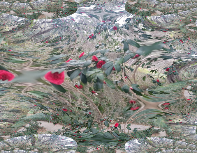 Photo picturing a fractal rose garden